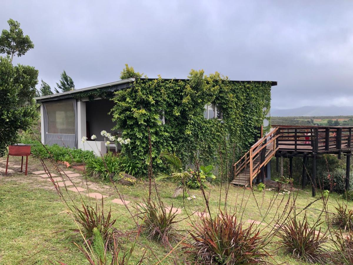 Rainforest Ridge Eco Resort The Crags Esterno foto