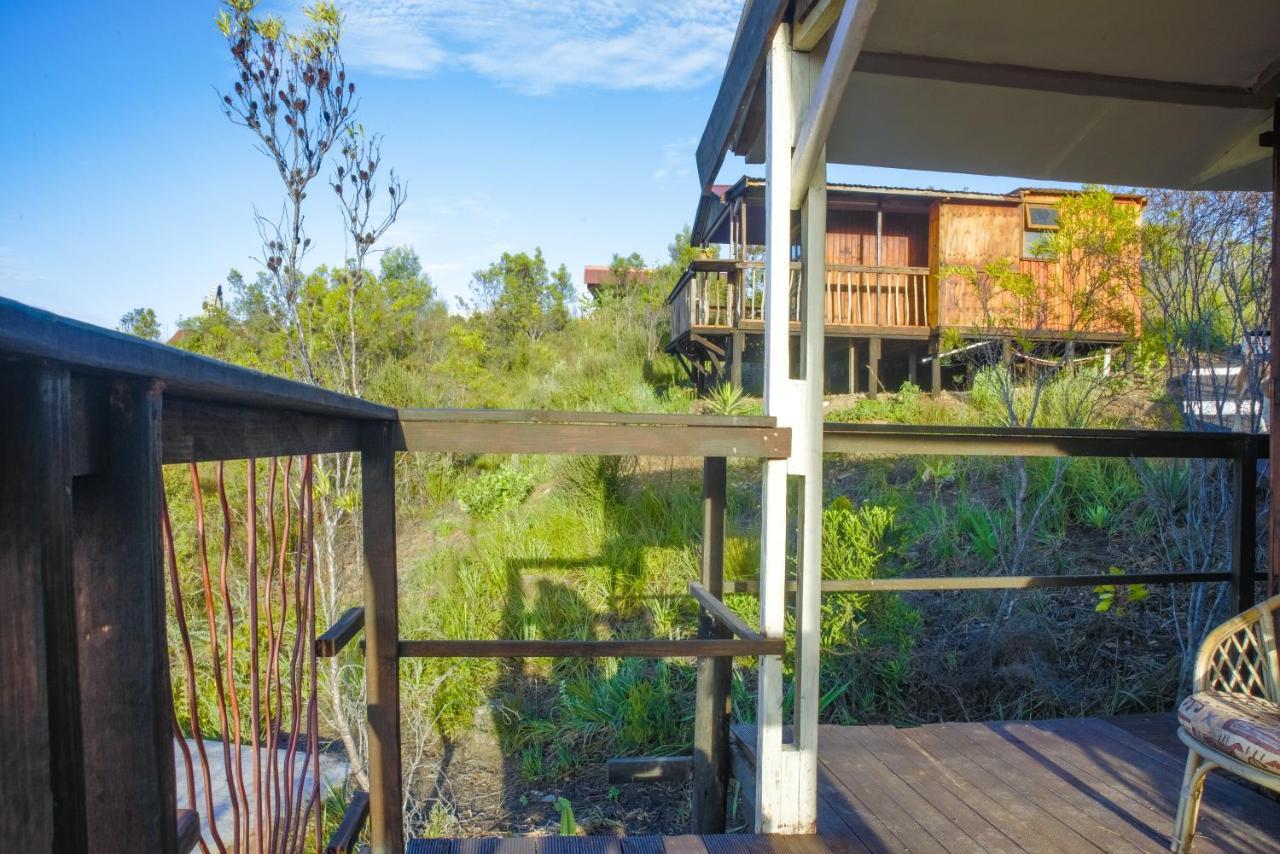 Rainforest Ridge Eco Resort The Crags Esterno foto